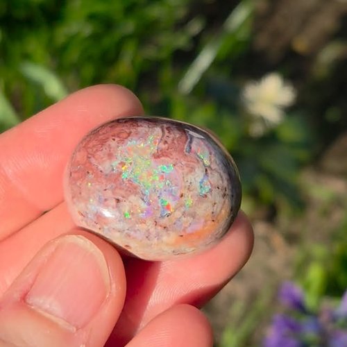 Frohe Ostern mit einem mexikanischen Feueropal in Matrix von meinem Opal Händler @emil_weis_opals, die mir eine...